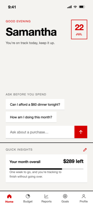Stack home screen — ask before you spend, with quick insights